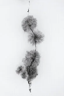 Photo art by Studio Na.hili: trees at a snowy ice stream
