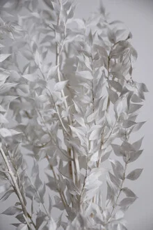Bright leaves in sunlight, soft colors creating a calming mood in the photo art.