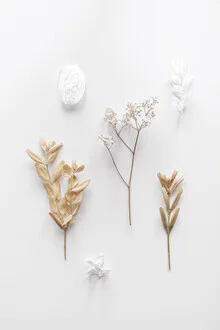 Photo art featuring stones and branches in soft colors, a calm botanical composition.
