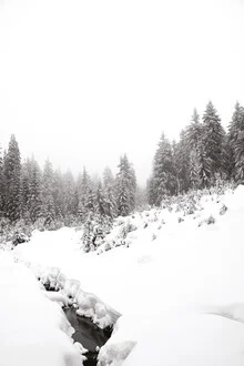 Photo art by Studio Na.hili: dark river in a white winter forest