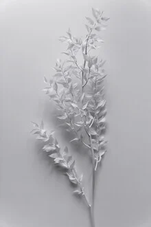 Minimalist photo of a white branch against a light background