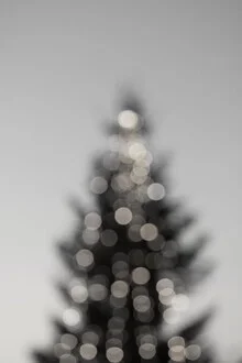 Black and white photo featuring a Christmas tree in stylish design