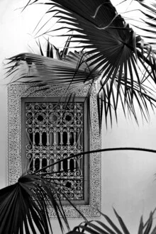 Photo art by Studio Na.hili: elegant palms in black and white