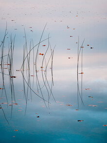 Holger Nimtz, Autumn Lake - Deutschland, Europa)