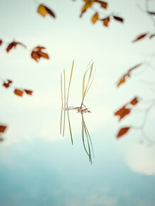 Holger Nimtz, Lake in Fall