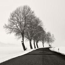 Lena Weisbek, Winter Road