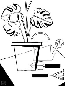 Laura Ljungkvist, Monstera