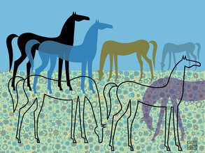 Laura Ljungkvist, Horses