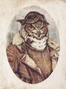 Wall art featuring an owl dressed as a pilot in a vintage style