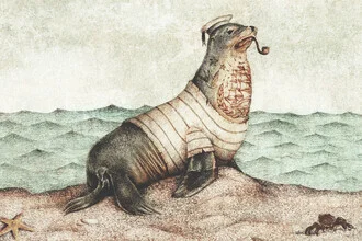 Wall art featuring a playful seal at the beach, watching a sailboat.