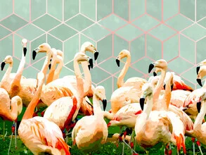 Abstract illustration featuring flamingos in vibrant colors and geometric shapes
