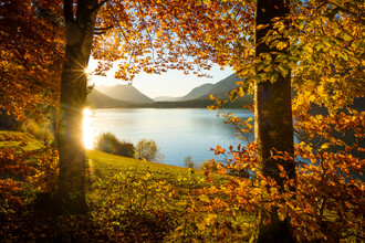 Martin Wasilewski, Autumn in the Alps (Germany, Europe)