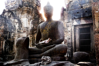 Shane Mason, Safe in your arms (Thailand, Asia)