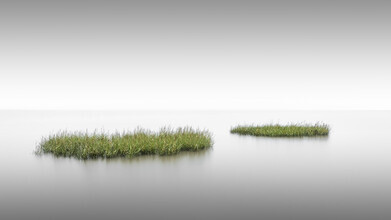 Ronny Behnert, Prophecy | Sylt