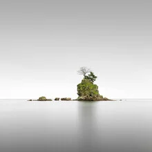 Photo art by Ronny Behnert: tranquil landscape with water and trees in Japan