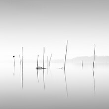 Ronny Behnert, Trasimeno | Italien