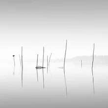 Photo art by Ronny Behnert: serene view of Lake Trasimeno in soft gray tones