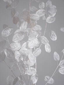 Studio Na.hili, HONESTY - a branch of dried flowers (Germany, Europe)
