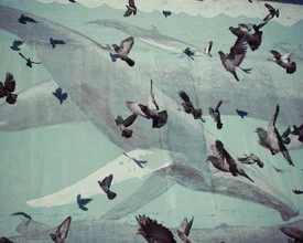 Pigeons + Whales - Fineart photography by Erin Kao