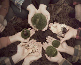 Erin Kao, Collecting (United States, North America)