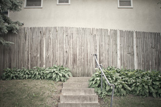 Erin Kao, Fences (United States, North America)