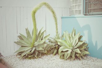 Erin Kao, Silver Lake, LA (United States, North America)