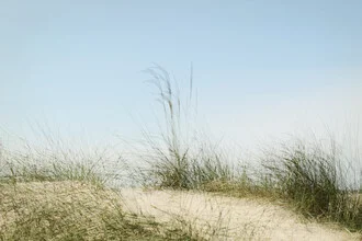 Dune path - Fineart photography by Manuela Deigert