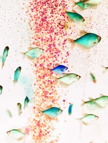Wandbild mit bunten Fischen in einem surrealen Unterwasserraum