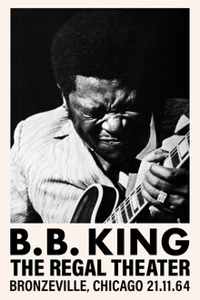 Vintage Collection, B.B. King at the Regal Theater (United States, North America)