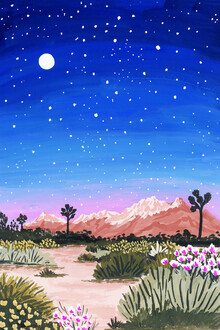 Sarah Gesek, Joshua Tree at Night - Vereinigte Staaten, Nordamerika)