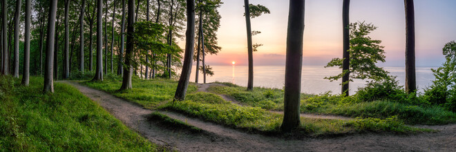 Jan Becke, Jasmund National Park on the island of Ruegen - Germany, Europe)