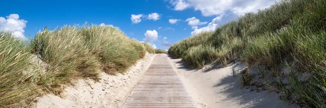 Path through the dunes with beachgrass and sand, calm summer mood