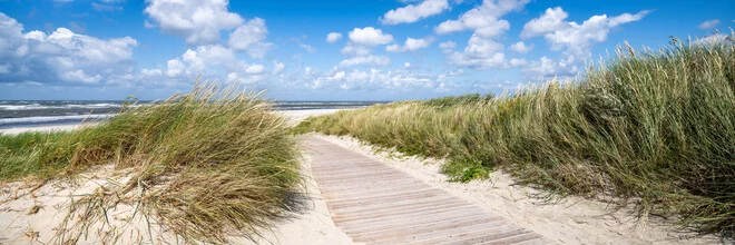 Photo art by Jan Becke: Path through beachgrass leading to the coast