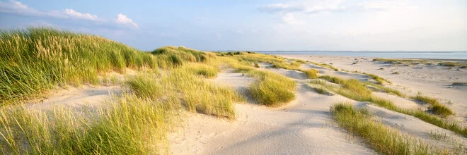 Dune landscape in warm sunlight, gentle waves and green grasses