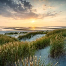 Dunes at sunset with soft colors and a calming atmosphere.