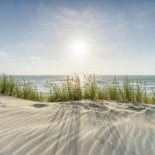 Dünenlandschaft an der Nordseeküste mit sanften Sandhügeln und klarem Himmel.