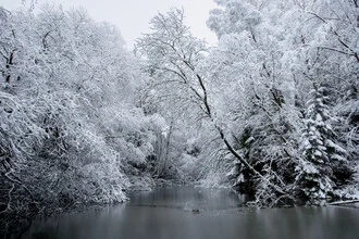 Photo art by Helmut Pfirrmann: serene snowy landscape with trees