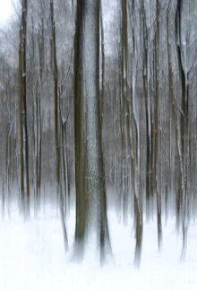 Photo art by Helmut Pfirrmann: winter forest with blurred snow surfaces