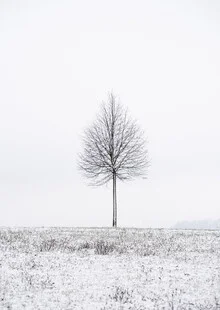Photo art by Helmut Pfirrmann: winter tree in a calm, minimalist landscape