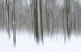 Fotokunst von Helmut Pfirrmann: schneebedeckter Winterwald mit sanften Farben