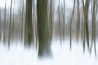 Photo art by Helmut Pfirrmann: picturesque winter forest scene with blurred trees