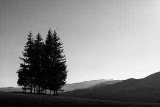 Bernd Grosseck, Vier Bäume in monochromer Landschaft