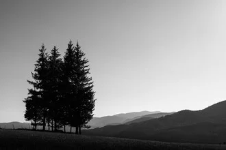 Photo art by Bernd Grosseck: four trees in a monochrome landscape.