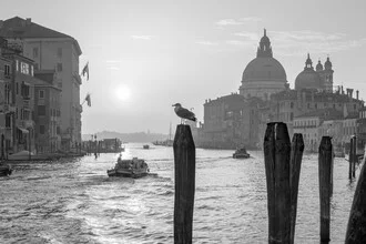 Sunrise over the Grand Canal in Venice, featuring soft light and a calm atmosphere.