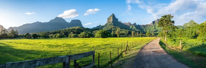 View of Mount Tohiea on Moorea: gentle hills and lush greenery