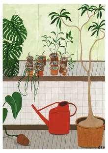 Wall art by Rachel Hillis: botanical illustration featuring plants in the Barbican Conservatory.