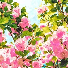 Wall art: colorful illustration featuring blooming Bougainvillea in a relaxed setting