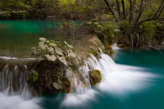 Photo art by Boris Buschardt: serene waterfall in Plitvice Lakes, surrounded by trees.