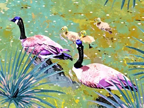 Wall art by Uma Gokhale: Relaxed ducks in a calm pond, surrounded by plants.