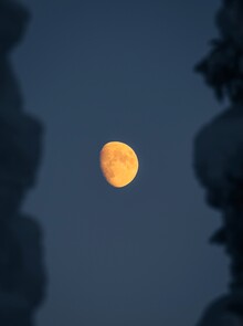 André Alexander, Moonrise